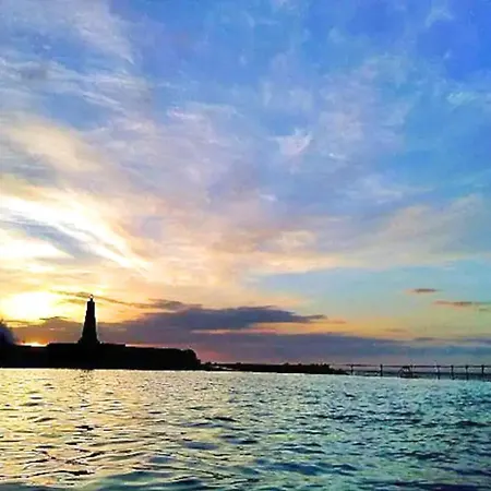 Palmeras * バハマル