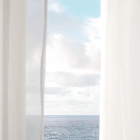 Palmeras バハマル