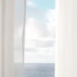 Palmeras Bajamar