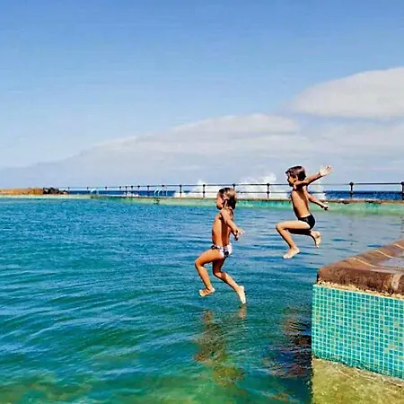 Palmeras * Bajamar (La Laguna)