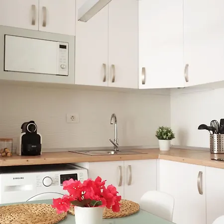 Apartamento Palmeras Bajamar (La Laguna)