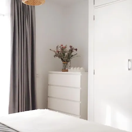 Palmeras Bajamar (La Laguna)