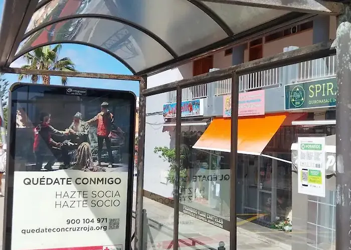 Palmeras 바하마르