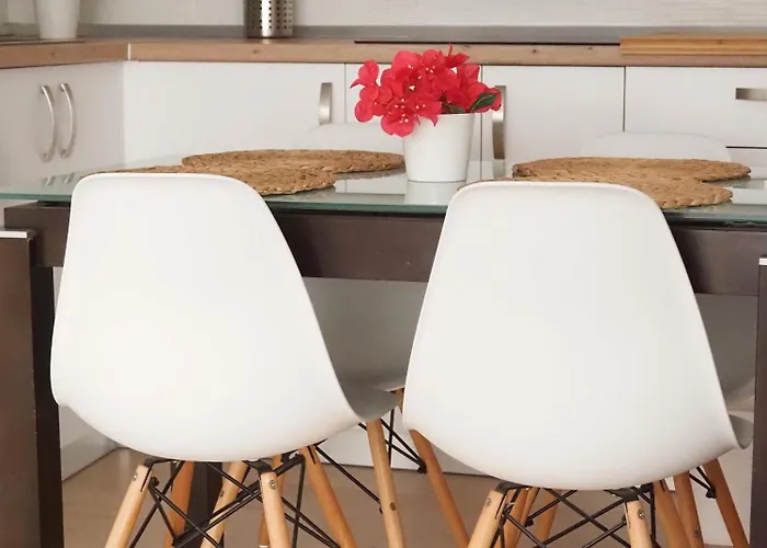 Palmeras * 바하마르