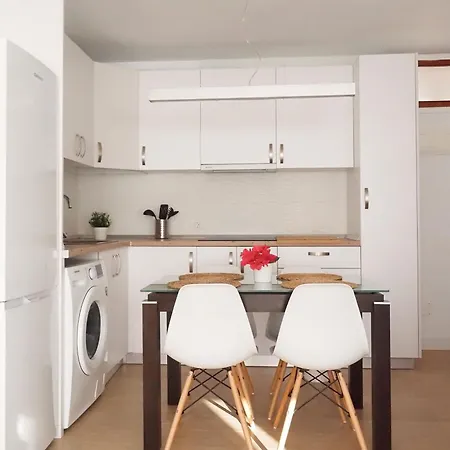 Palmeras * Bajamar (La Laguna)