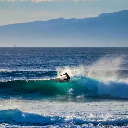 Palmeras Apartamento