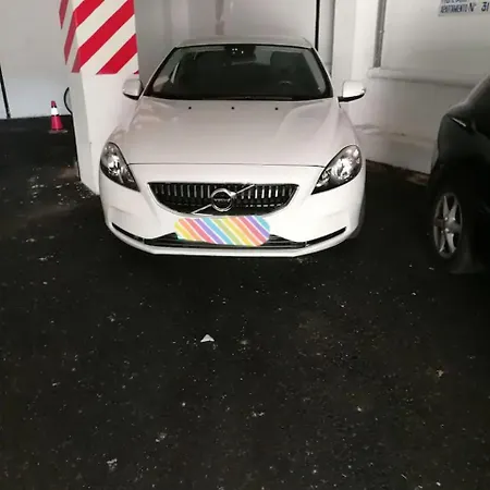 Palmeras * Bajamar (La Laguna)