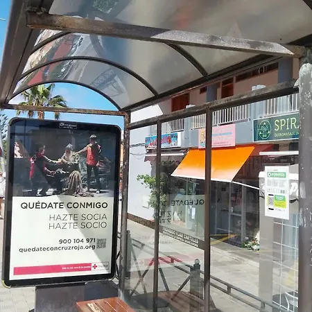 Palmeras Bajamar (La Laguna)