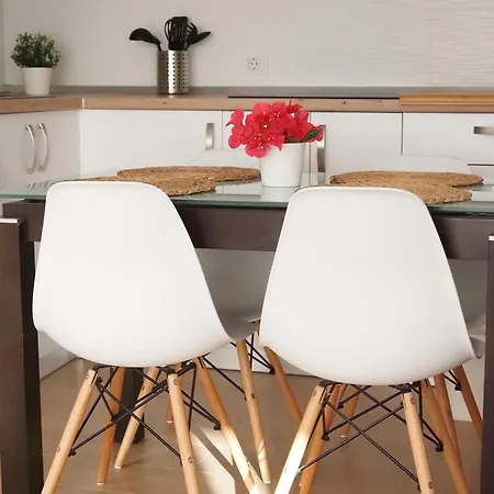 Palmeras * Bajamar (La Laguna)