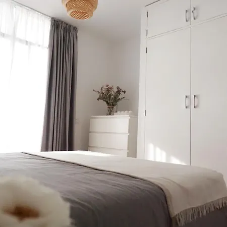 Palmeras Apartamento Bajamar (La Laguna)