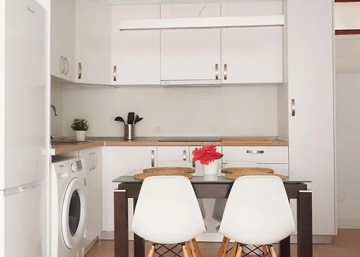 Palmeras * Bajamar (La Laguna)