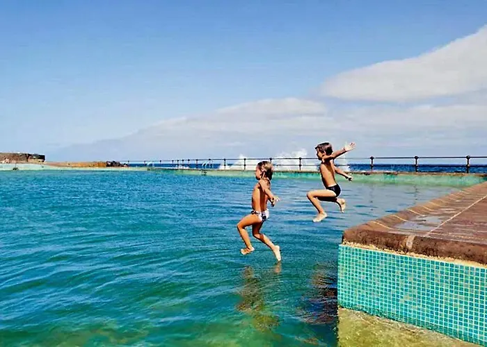 Palmeras * Bajamar (La Laguna)