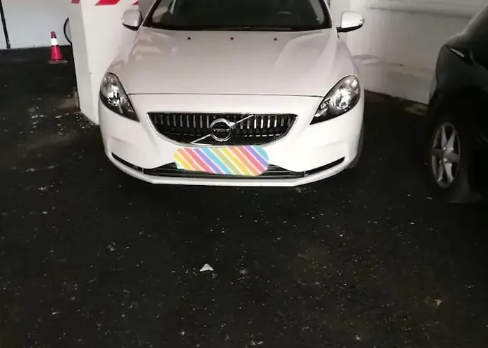 Palmeras * Bajamar (La Laguna)