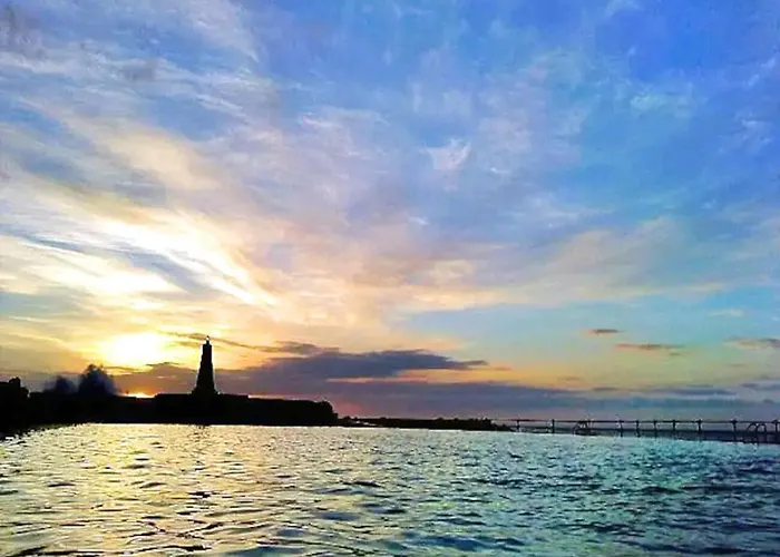 Palmeras * Bajamar (La Laguna)