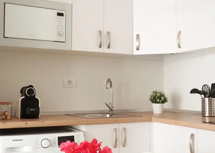 Apartament Palmeras Bajamar (La Laguna)