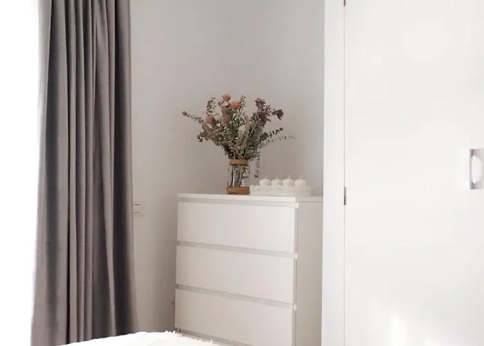 Palmeras Bajamar (La Laguna)