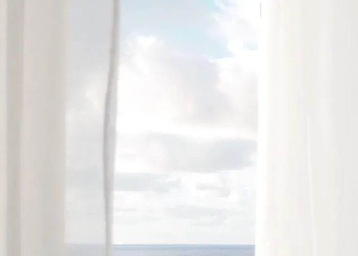 Palmeras Bajamar (La Laguna)