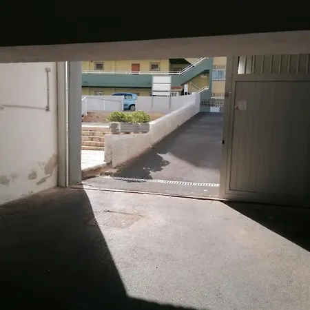 Palmeras